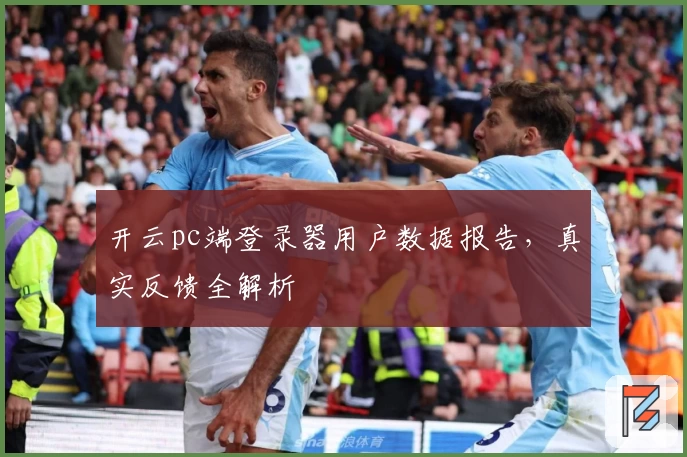 开云pc端登录器用户数据报告，真实反馈全解析