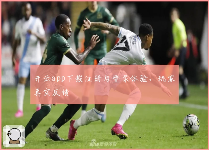 开云app下载注册与登录体验,玩家真实反馈