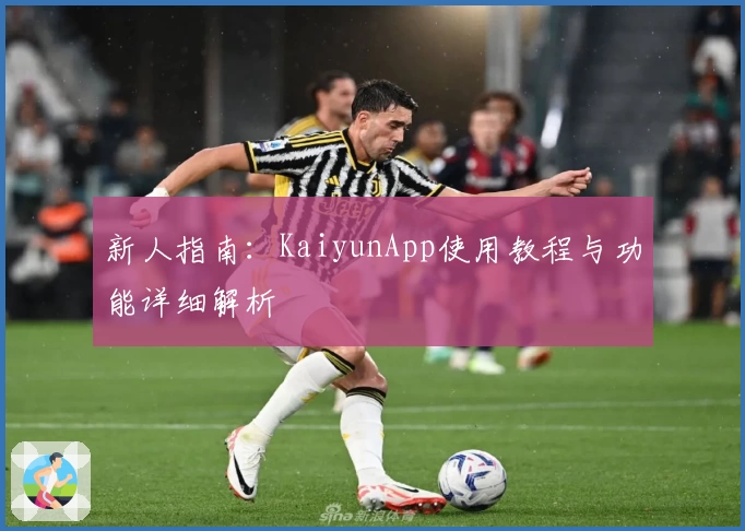 新人指南:KaiyunApp使用教程与功能详细解析