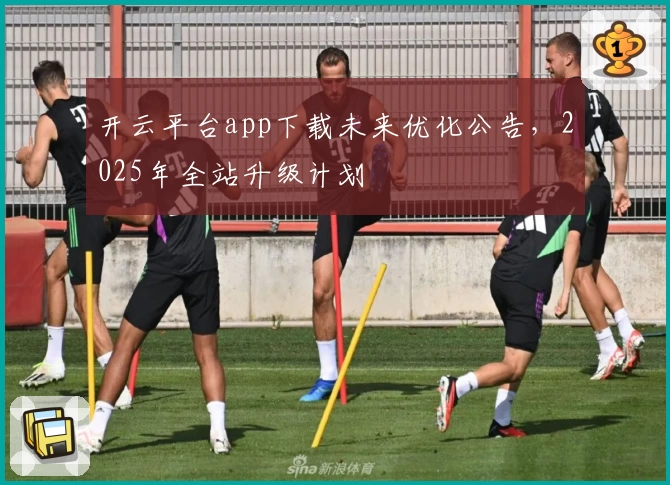 开云平台app下载未来优化公告，2025年全站升级计划