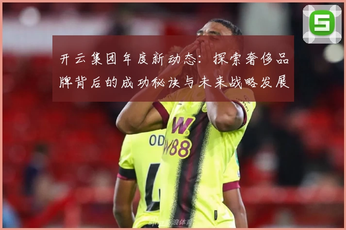 开云集团年度新动态：探索奢侈品牌背后的成功秘诀与未来战略发展方向